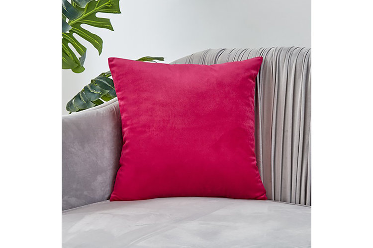 Rodrigo Square Velvet Pillow Cover