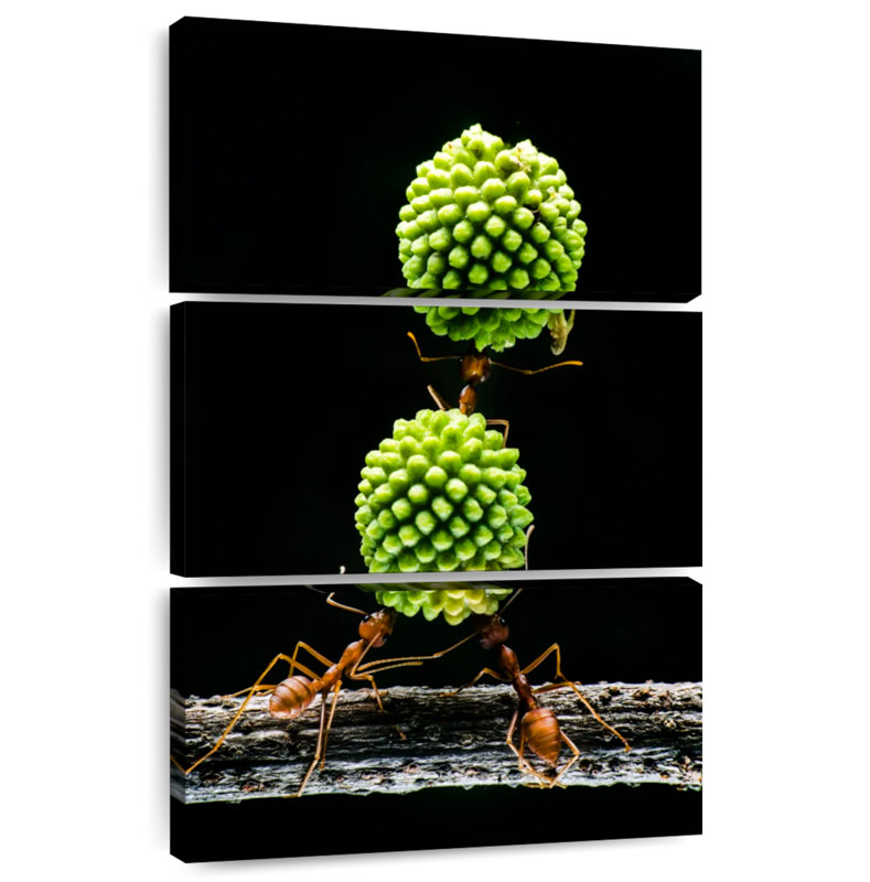 Brampt, travail d'équipe de fourmis, H 65 po x l 42 po