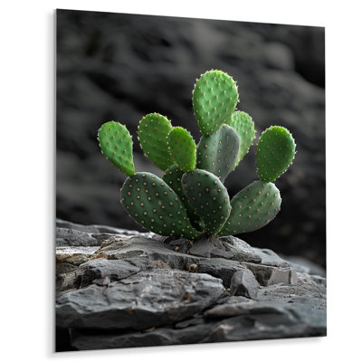 Vert, gris, désert, cactus, falaise rocheuse - cactus floral, salon d'art mural