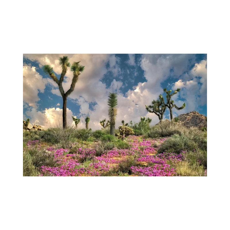 Desert Bloom by Dennis Frates - Print on Canvas, Wrapped Canvas, 45.72cm H x 66.04cm W x 3.81cm D