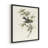 Vintage Animal Print X  Framed Print - Set of 4-115669300-115669303