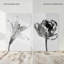 Peeking Flowers Set Set by Oliver Gal-1060062544-1060062562