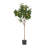 Artificial Lemon Tree For Home Wall