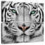 Tigre blanc aux yeux verts Brampt-109133933