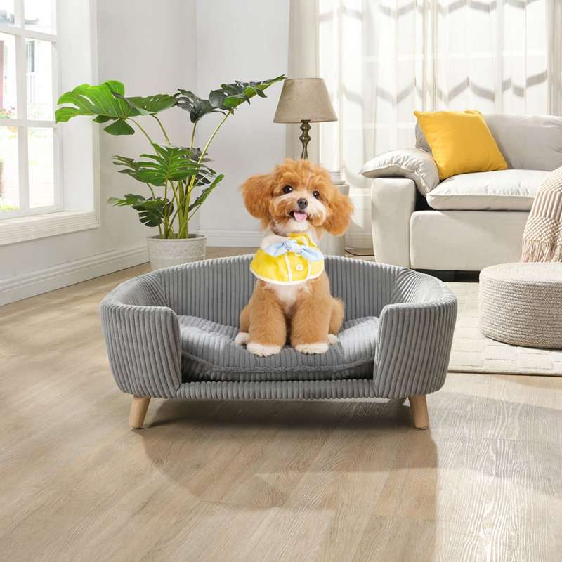 Lit pour chien moderne et contemporain, Gris