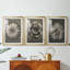 Blossfeldt Flower II - reproduction sur mesure encadrée de qualité supérieure - 3 pièces-475967314