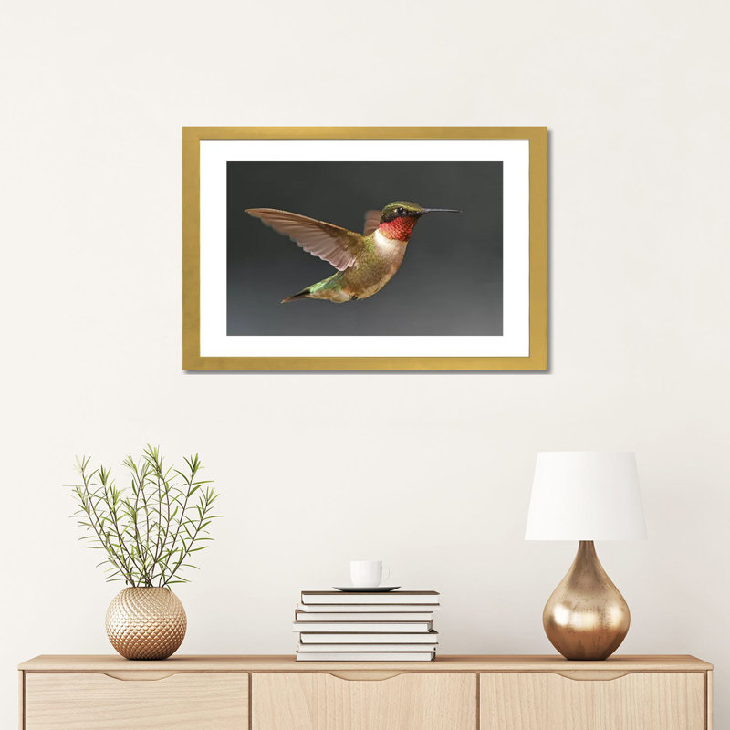 «Hummer in Flight» par Brian Wolf - reproduction de photo, Papier encadré doré, Blanc, H 16 po x l 24 po x P 1 po