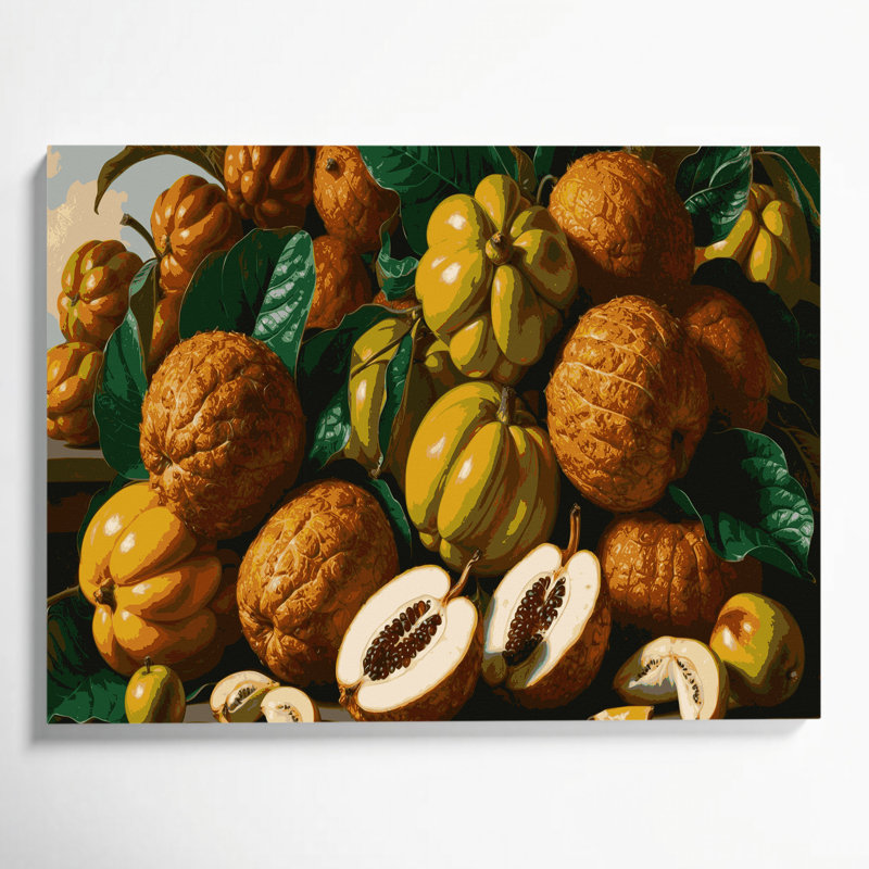 «Fruit Bacuri», art mural sur toile, H 24 po x l 36 po