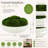 Vanora Preserved Moss Plant in Planter-1839579335