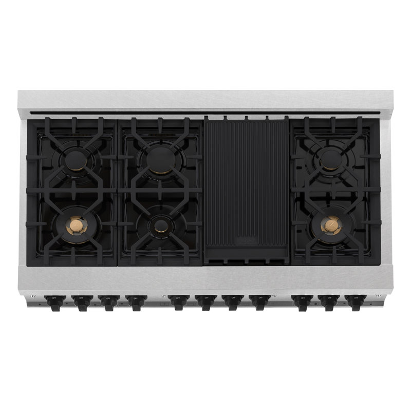 ZLINE Autograph 48" Legacy Dual Fuel Range in DuraSnow®, Matte Black Satin Stainless Steel with White