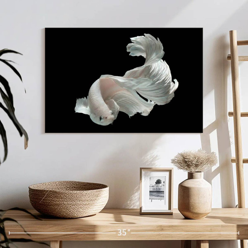 Poisson Betta blanc Brampt, H 24 po x l 36 po