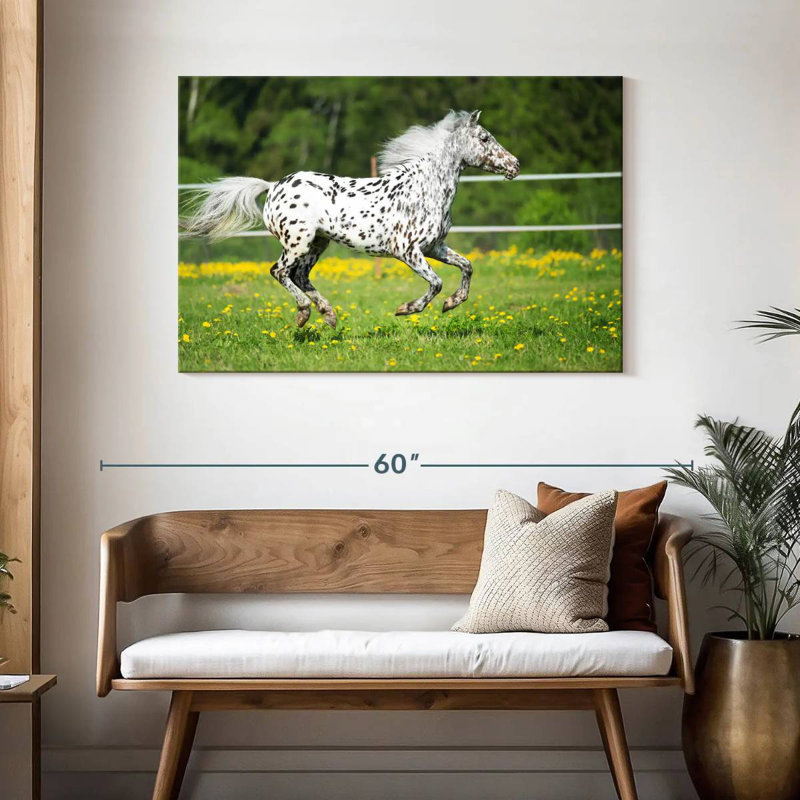 Crowle Appaloosa Horse, 30" H x 45" W