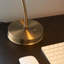 Ziemer Metal Desk Lamp