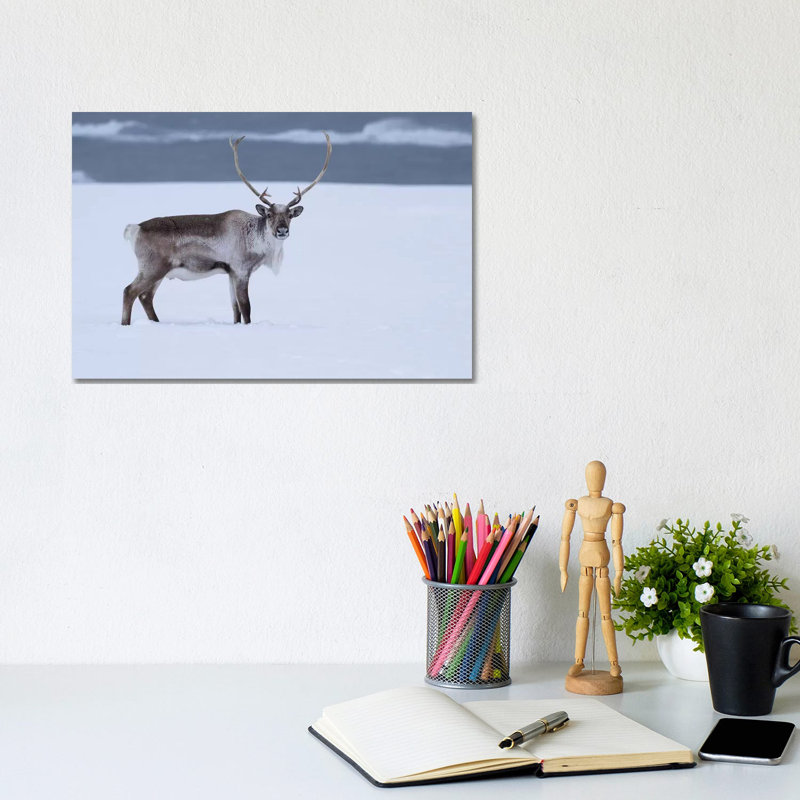 Reindeer In Snow by Eric Fisher - Wrapped Canvas Painting, 20.32 cm H x 30.48 cm W