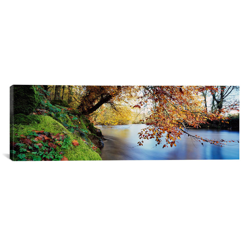 Reproduction de photo sur toile tendue, arbres panoramique le long d'une rivière, H 12 po x l 36 po x P 1,5 po, Toile tendue