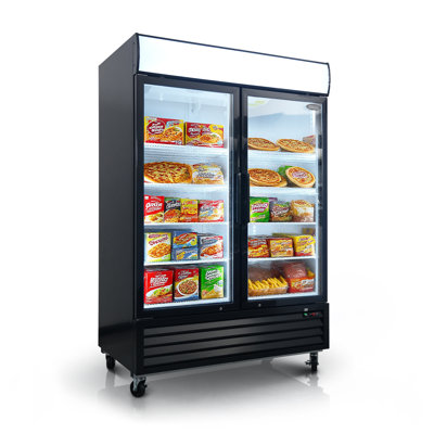 Daheat 448 Cubic Feet 2 Glass Door Merchandiser Freezer
