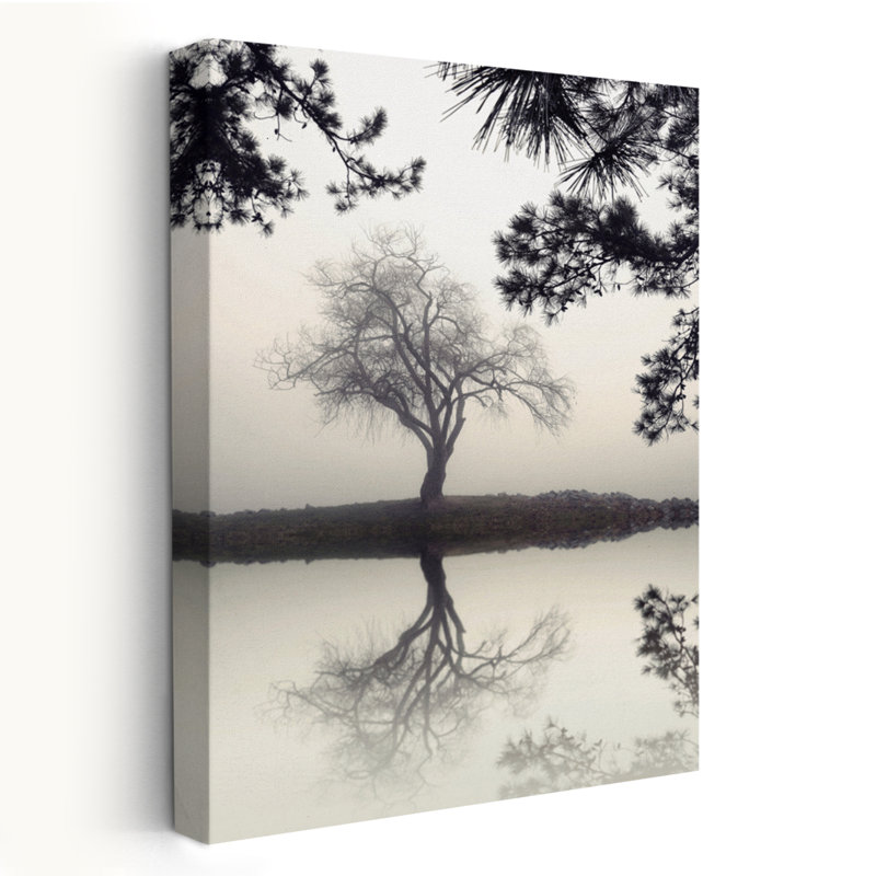 Saule d'hiver - photographie de paysages, brouillard, lac, arbres blancs, H 24 po x l 16 po
