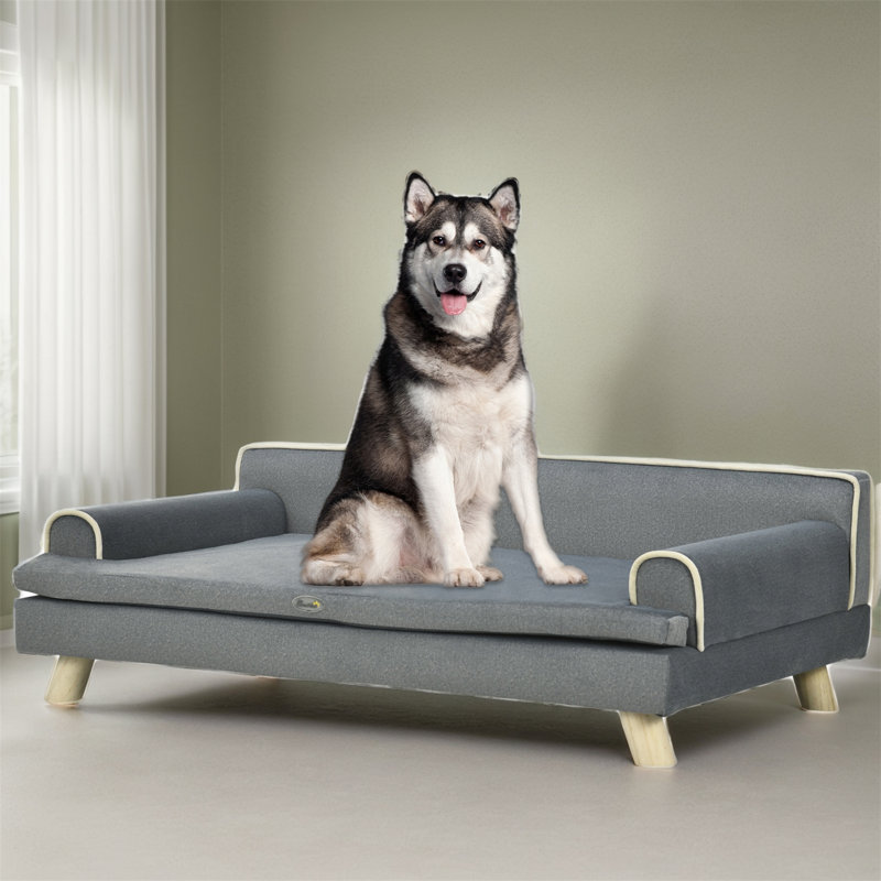 Grand canapé pour chien