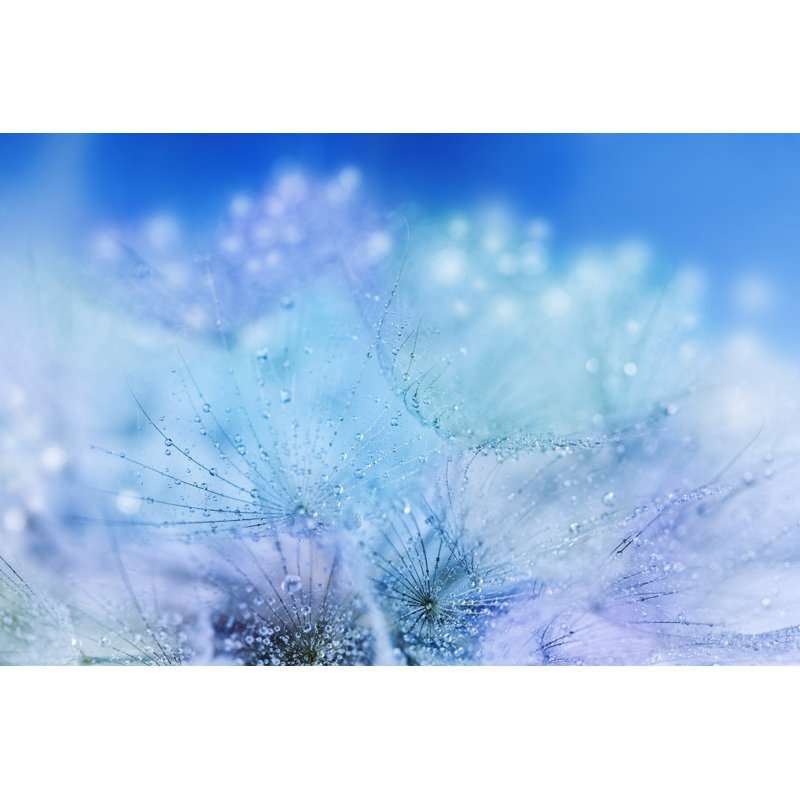Dandelion 1 Piece Wrapped Canvas Wall Art, 20cm H x 30cm W x 3.8cm D