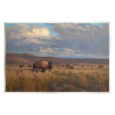 Az-385 - Paysage nuageux Buffalo