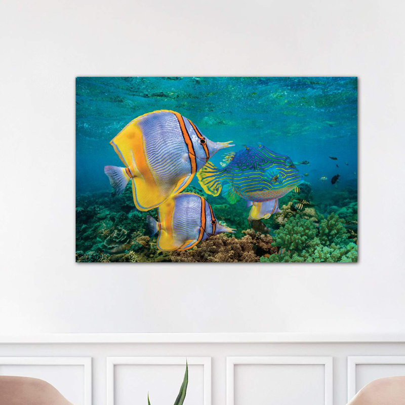 Butterflyfish And Horned Boxfish, Coral Coast, Australia by Tim Fitzharris - Wrapped Canvas Print