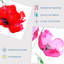 Pink Red Poppy Flowers Delicate - 2 Piece No Frame Print Set-88622340