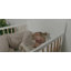 Jacquez Extra Plush Toddler Mattress Pad-22032726