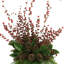Evergreen Arrangement in Vase