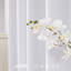 Paire de rideaux occultant Harjot-918208846-918208835