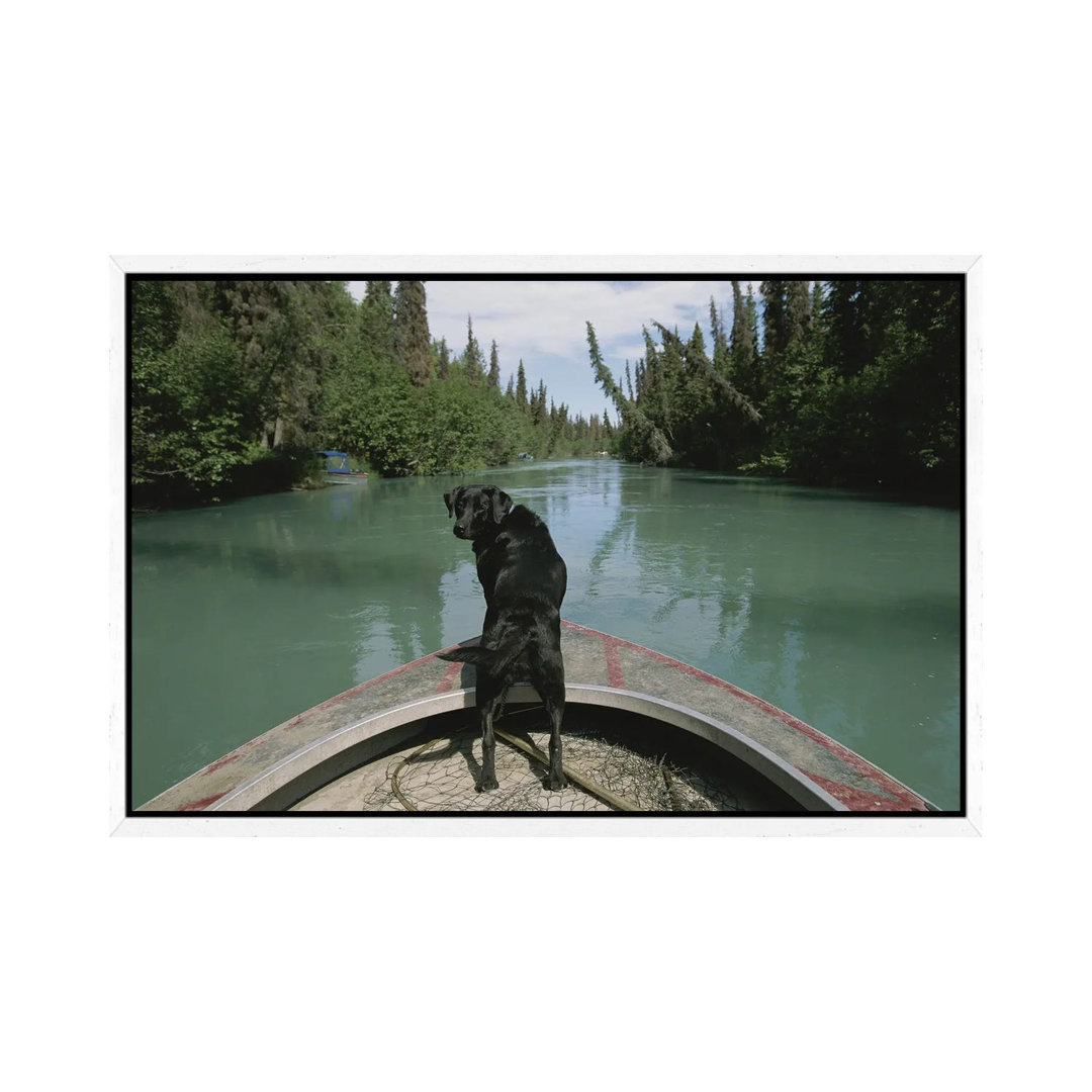 A Black Labrador Dog Travels Up The Kenai River On A Boat's Bow I von Joel Sartore - Gallery-Wrapped Canvas Giclée on Ca...