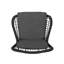 Chaises élégantes avec coussins de siège moelleux et bases en fer noir