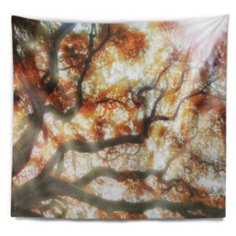 Photographie tapisserie, H 32 po x l 39 po