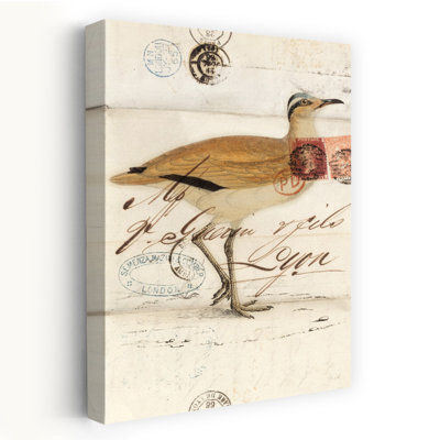 Art d'oiseau Courser