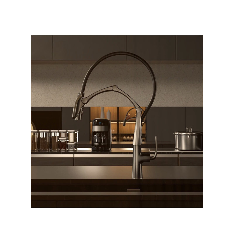 AvaMalis Pull Down Kitchen Faucet