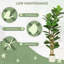 149.99 cm H Faux Fiddle Leaf Fig Tree Plant in Plastic and Cement
