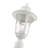 Arelene Lantern Head-234429507-234429508