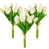 White/Green