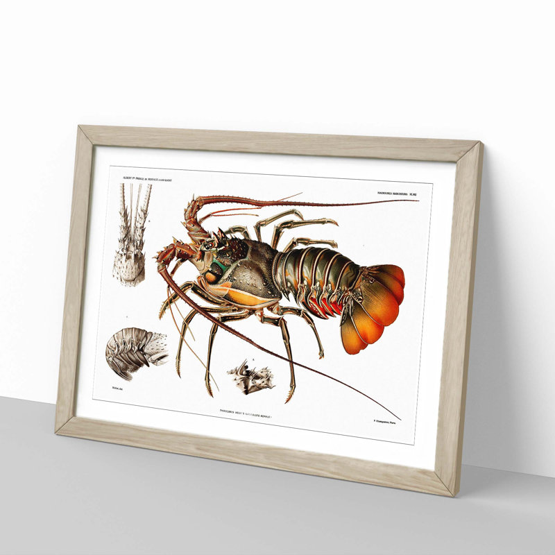 European Lobster by Albert I - Picture Frame Painting Print, 48cm H x 65cm W x 2cm D, Oak Framed