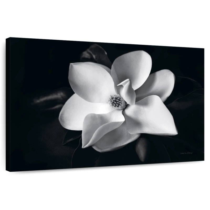 Harnek Magnolia en fleurs II, H 8 po x l 12 po