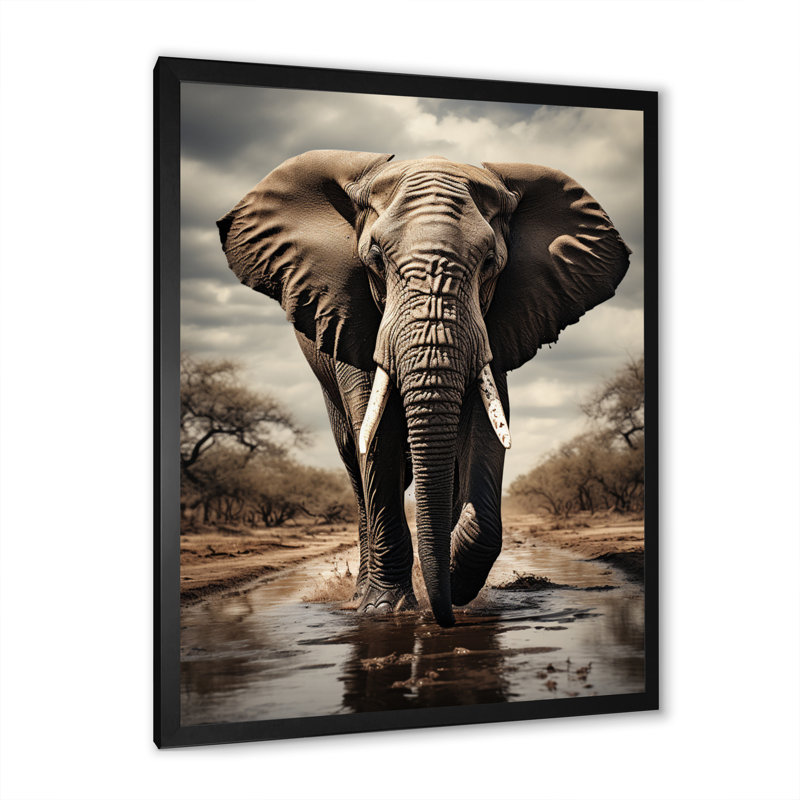 Portrait d'éléphant monochrome I - reproduction sur toile, Cadre photo noir, H 20 po x l 12 po x P 1 po