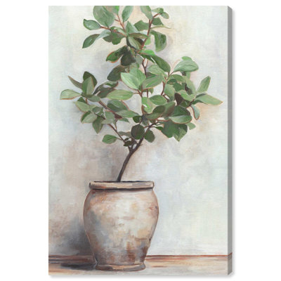 Decorative Green Canvas Classic Cottage Art by Art Remedy