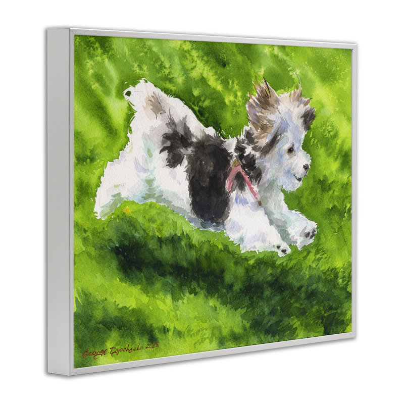 Happy Maltipoo, giclée encadrée par George Dyachenko, Giclée encadrée blanc bord de mer, H 16 po x l 20 po
