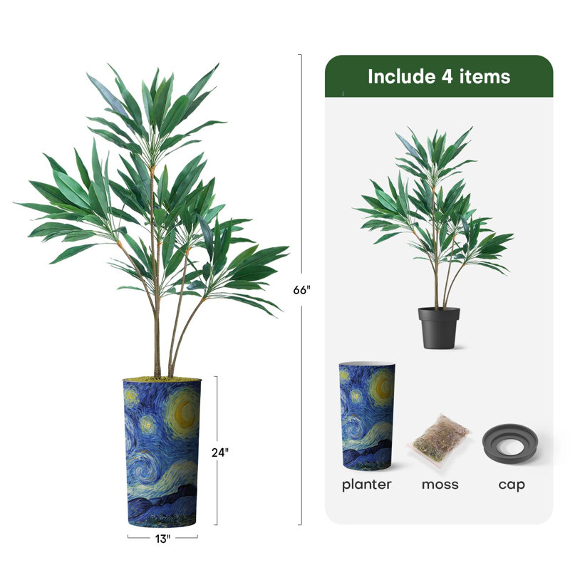66 plantes, Bleu nuit étoilée