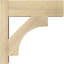 Sapin Douglas-109329452-113998552