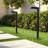 19''H LED Black Aluminum 4000K Outdoor Pathway Light with Etched Frosted Glass