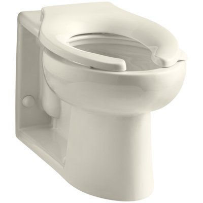 Anglesey Floor-Mounted Wall-Outlet 1.6 GPF Flushometer Valve Elongated Bowl with Rear Inlet