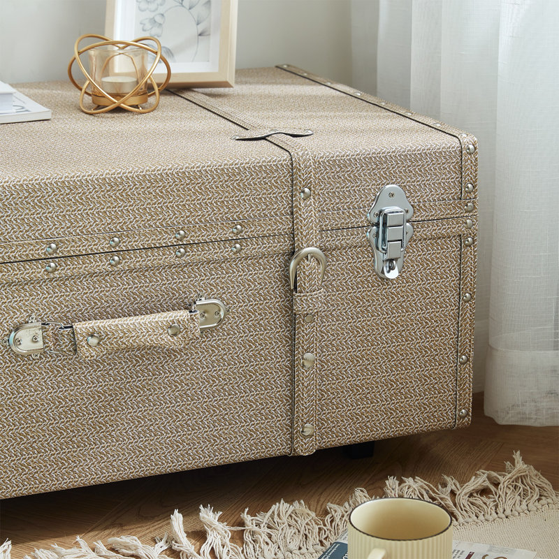 Texture Brand Trunk - Taupe Weave