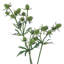 Delphinium Sprays-86731884