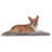 Polyester Pet Bed-26198041-60091578