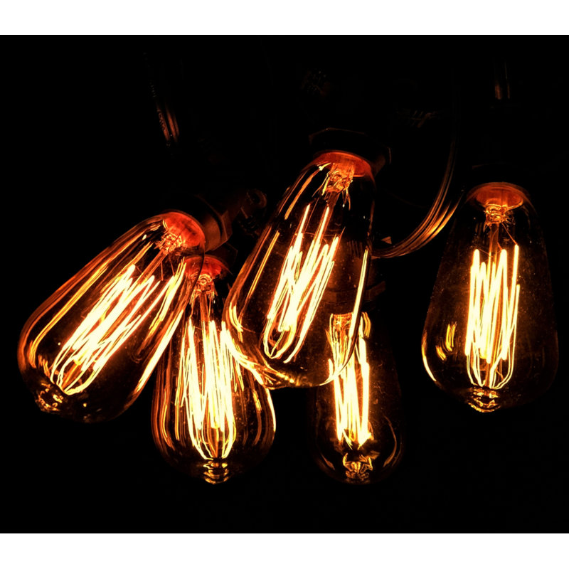 Edison String Lights Outdoor Plug-in String Light, Black, 600" L